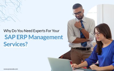 SAP ERP Management Services