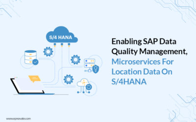 Enabling SAP Data Quality Management, microservices for location data on S/4HANA