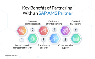 Key Benefits of Partnering With an SAP AMS Partner