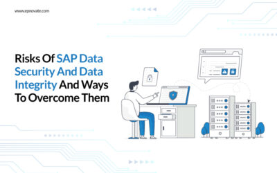 SAP consulting service