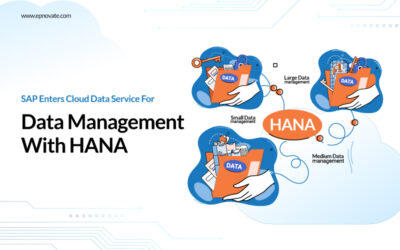 data management solution